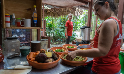 wildlife nutriotional facility limon costa rica